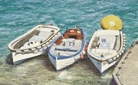 Launches at S.C.Y.C. Abersoch Thumbnail